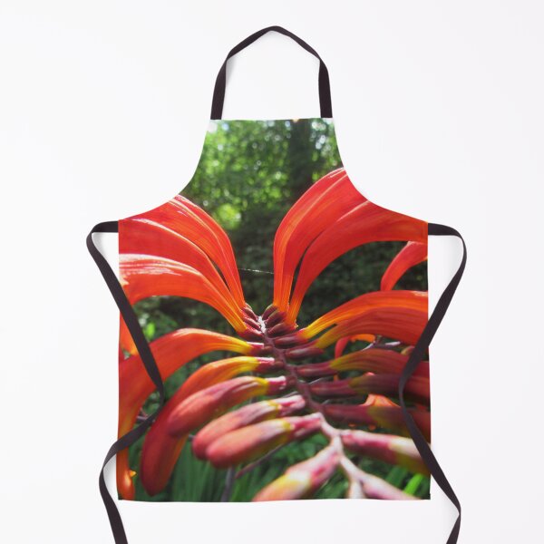 Item preview, Crocosmia Lucifer Plant designed and sold by WildandDivine.