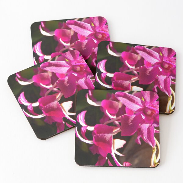 Item preview, Pink Orchids designed and sold by Monika's Shop.