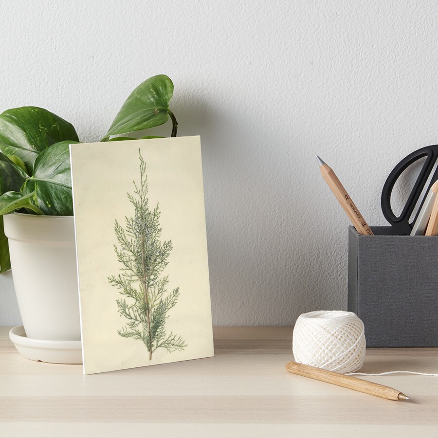 Item preview, Art Board Print designed and sold by bluespecsstudio.
