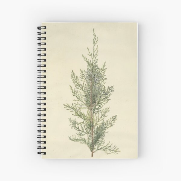 Botanical Juniper Spiral Notebook