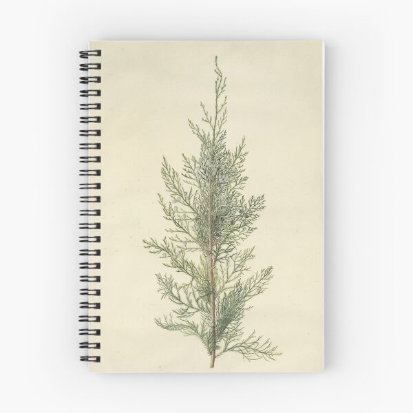 Item preview, Botanical Juniper designed and sold by BlueSpecsStudio.