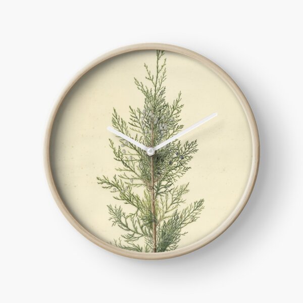 Item preview, Botanical Juniper designed and sold by BlueSpecsStudio.