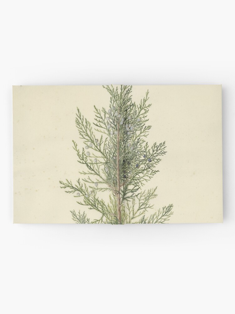 Alternate view of Botanical Juniper Hardcover Journal