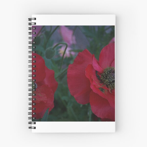 Item preview, Double Trouble Flower Petal designed and sold by Kelsey Thomas.