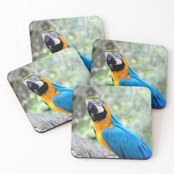 Item preview, Blue Parrot at Busch Gardens designed and sold by Monika's Shop.