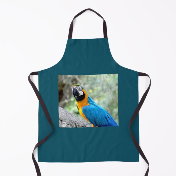 Item preview, Blue Parrot at Busch Gardens designed and sold by Monika's Shop.