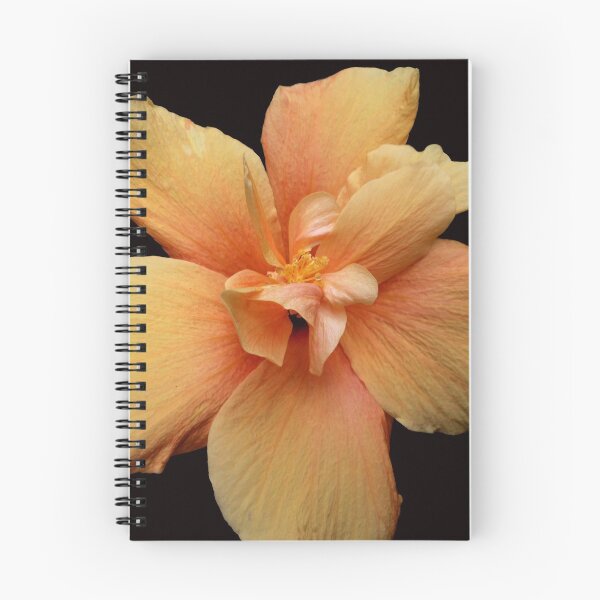Item preview, Yellow Hibiscus  designed and sold by Madalena Lobao-Tello.