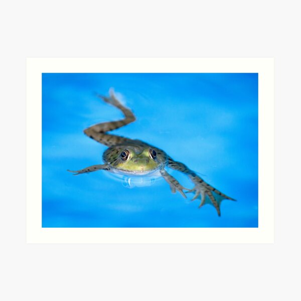 Breast Stroke Art Print