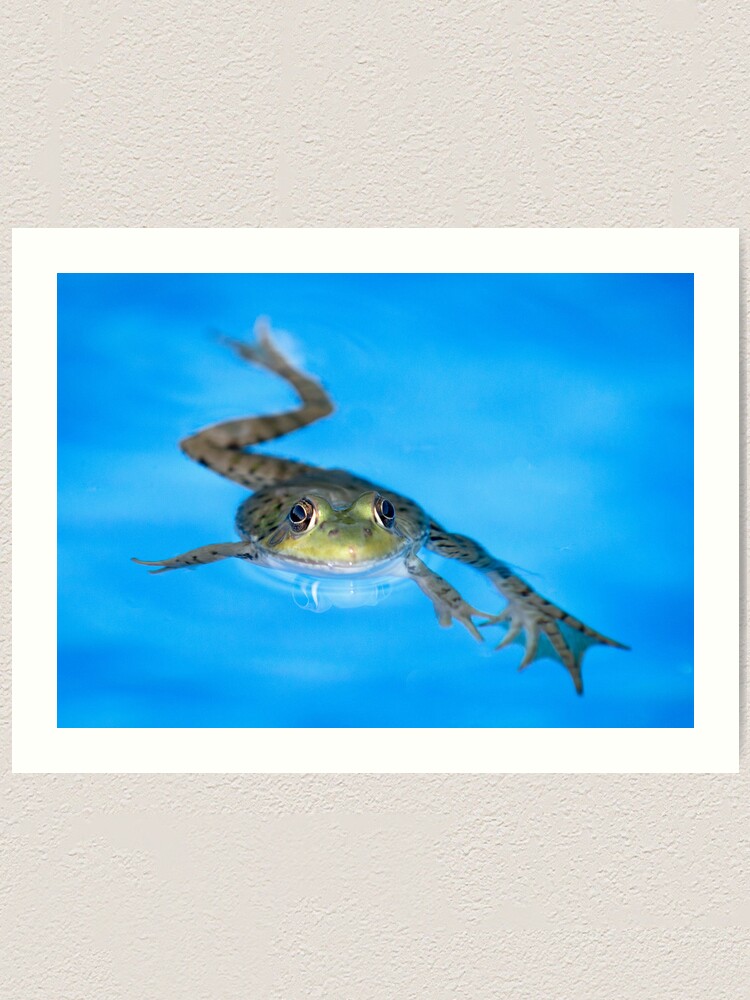 Alternate view of Breast Stroke Art Print
