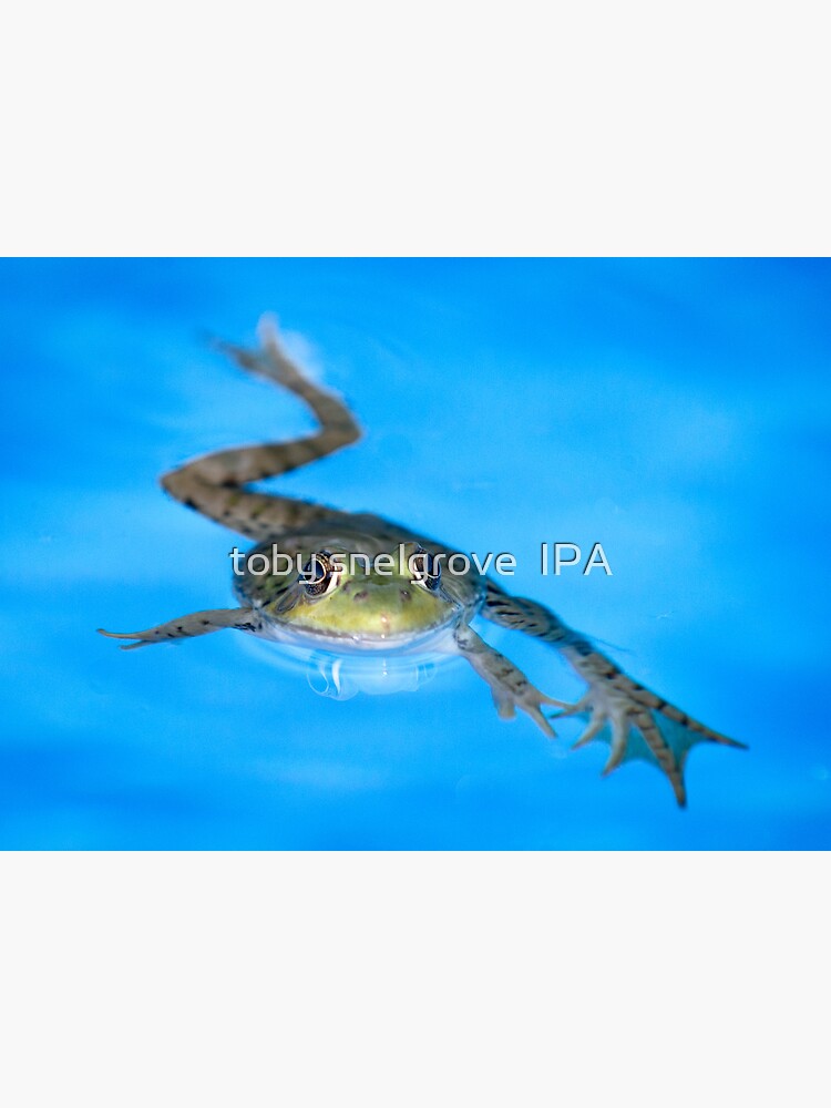 Breast Stroke by tobysnelgrove