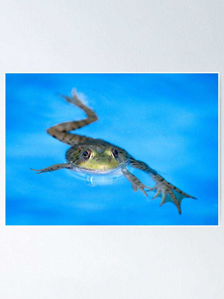 Alternate view of Breast Stroke Poster