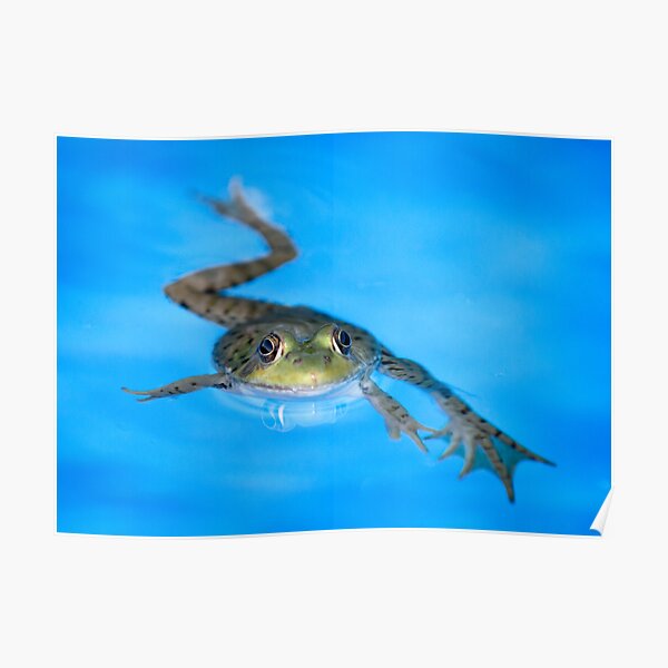 Breast Stroke Poster