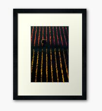 Autumn vineyard at sunset Framed Print