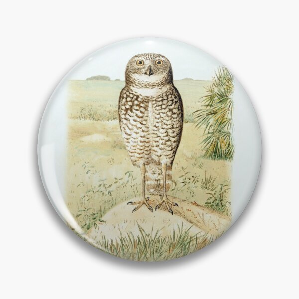 Item preview, Florida Burrowing Owl from The Auk, 1884 designed and sold by TheCurators.