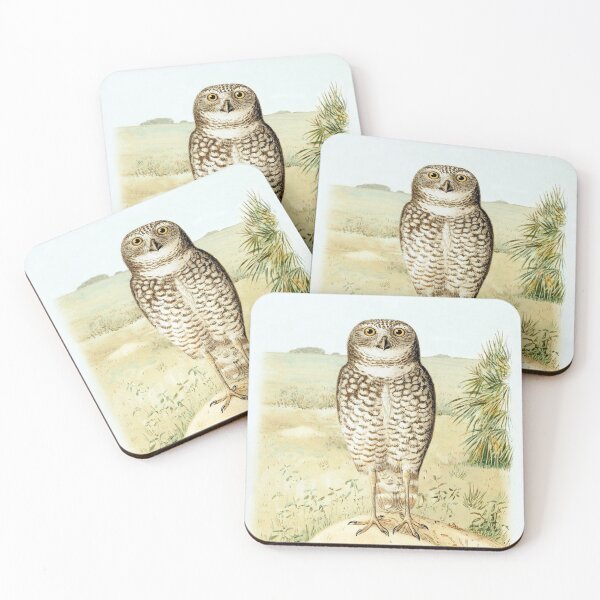 Item preview, Florida Burrowing Owl from The Auk, 1884 designed and sold by TheCurators.