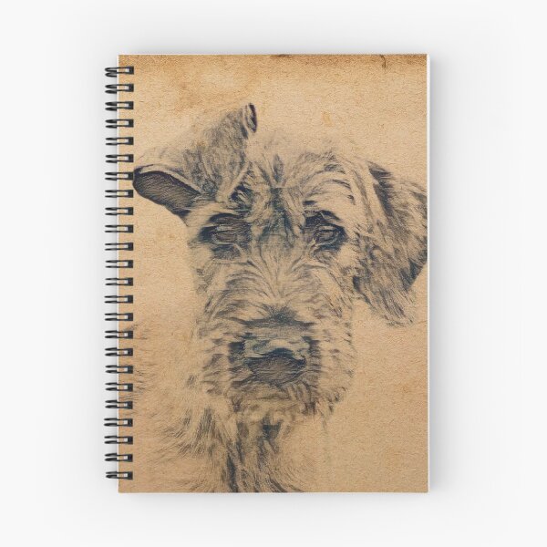 Item preview, Windows To The Soul designed and sold by DigiDog Designs.