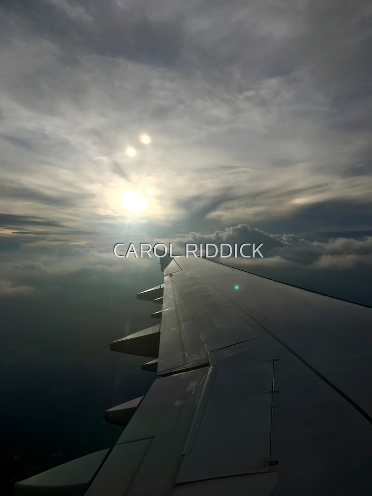 In-Flight by CarolRiddickArt