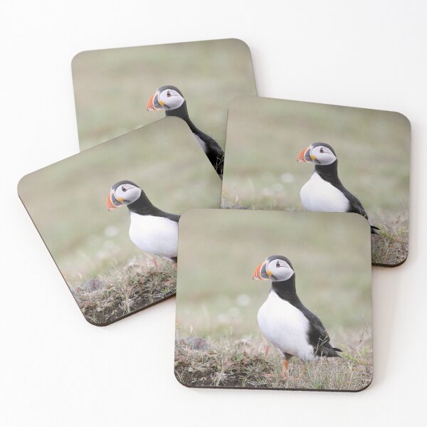 Item preview, Pretty Puffin designed and sold by mlorenz.