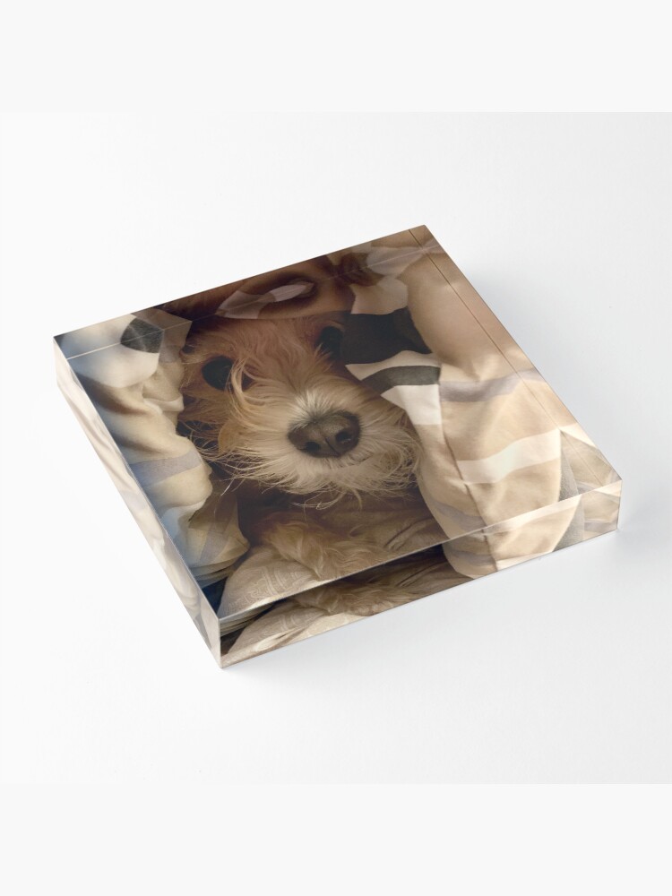 Alternate view of Peek-A-Boo Acrylic Block