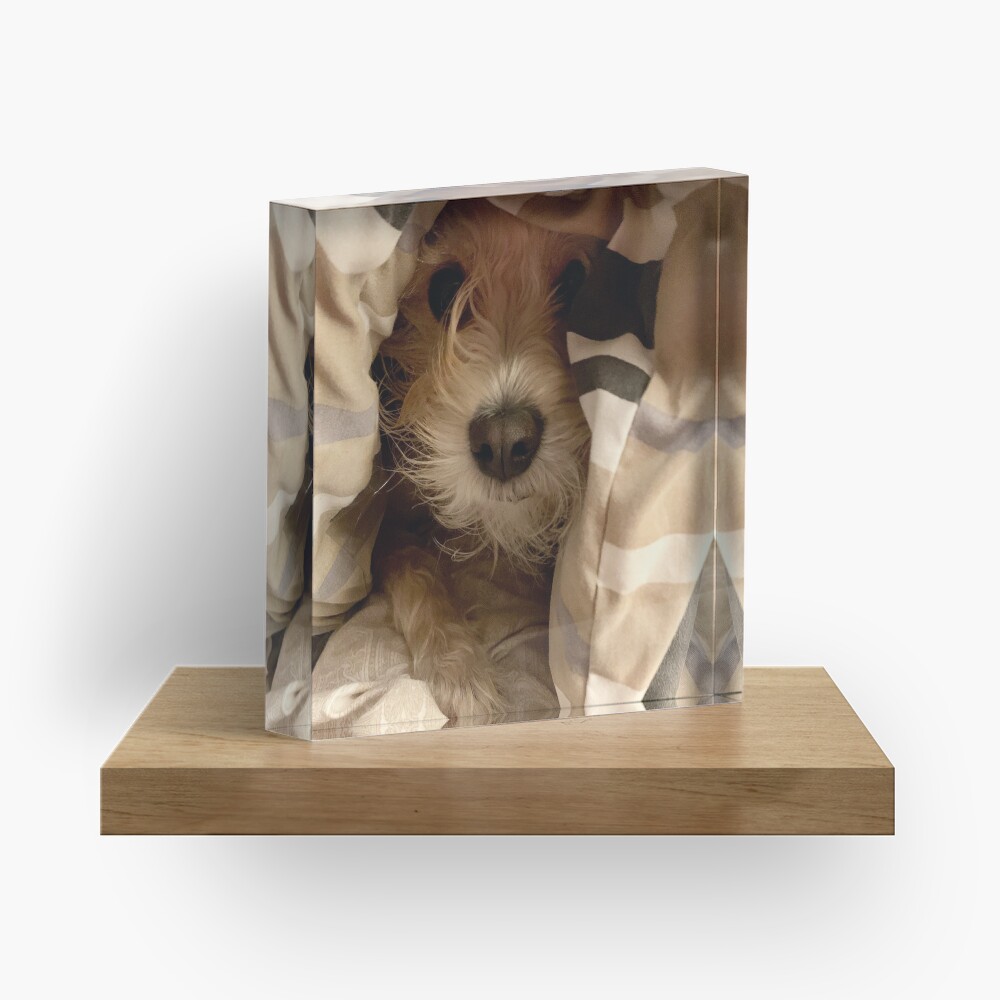 Peek-A-Boo Acrylic Block