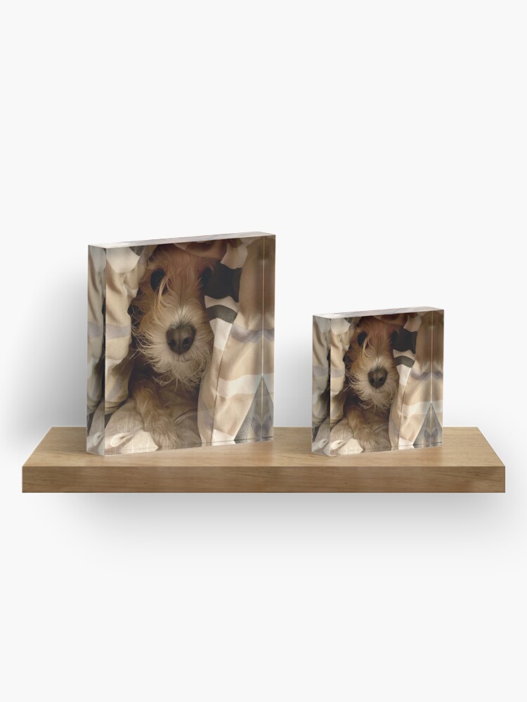 Alternate view of Peek-A-Boo Acrylic Block