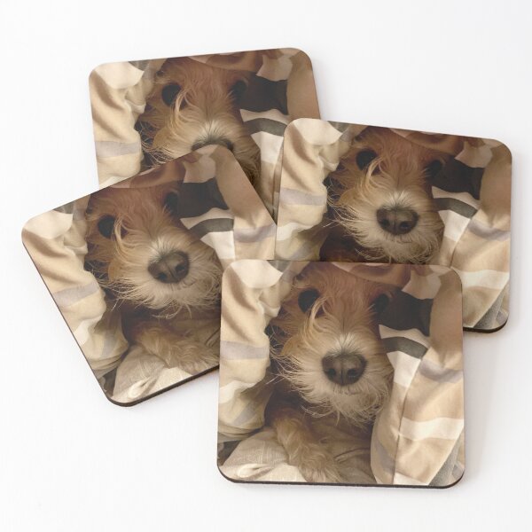 Peek-A-Boo Coasters (Set of 4)