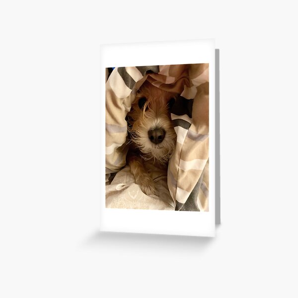 Peek-A-Boo Greeting Card