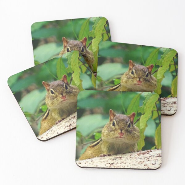 Item preview, Chipmunk with mouth full of food :) designed and sold by Art by Lilia.