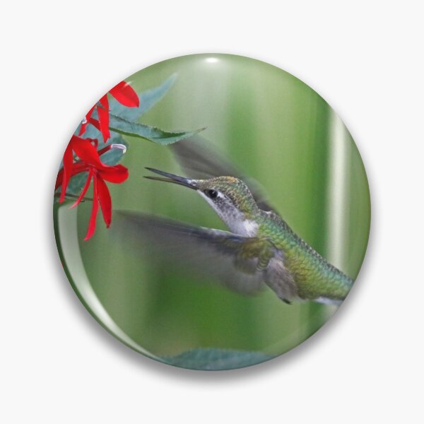 Item preview, Bright Red Invitation designed and sold by Deb Oppermann.