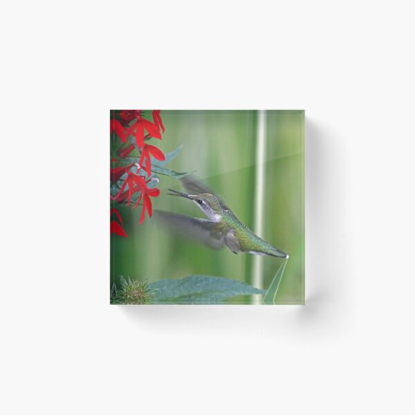 Item preview, Bright Red Invitation designed and sold by Deb Oppermann.