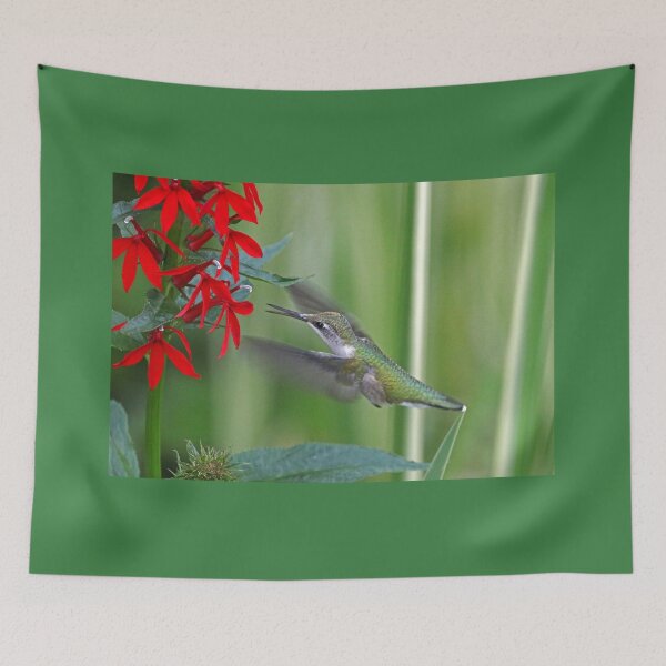 Item preview, Bright Red Invitation designed and sold by Deb Oppermann.