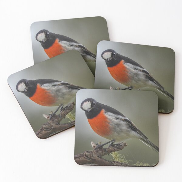 Item preview, Scarlet Robin designed and sold by CathsImages.