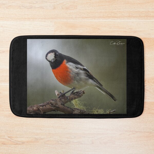 Item preview, Scarlet Robin designed and sold by CathsImages.