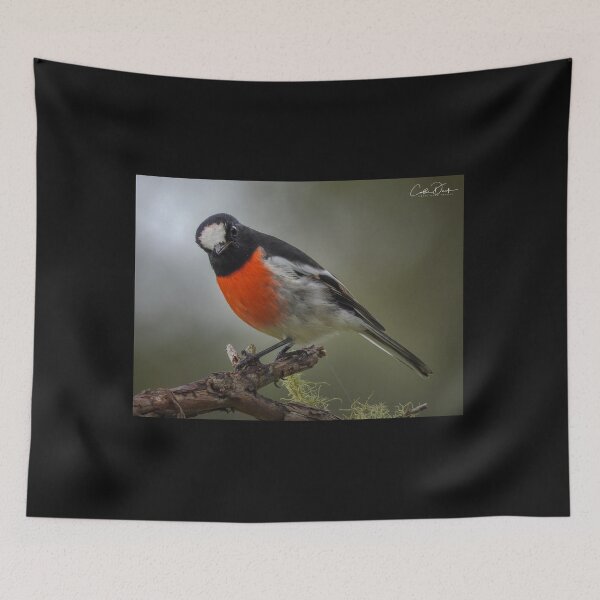 Item preview, Scarlet Robin designed and sold by CathsImages.