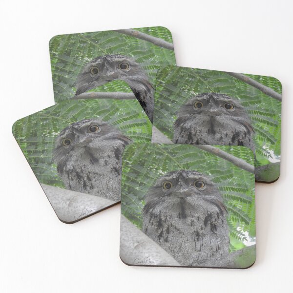 Item preview, What are you lookin' at ~ Tawny Frogmouth designed and sold by CathsImages.