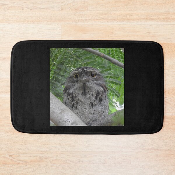 Item preview, What are you lookin' at ~ Tawny Frogmouth designed and sold by CathsImages.