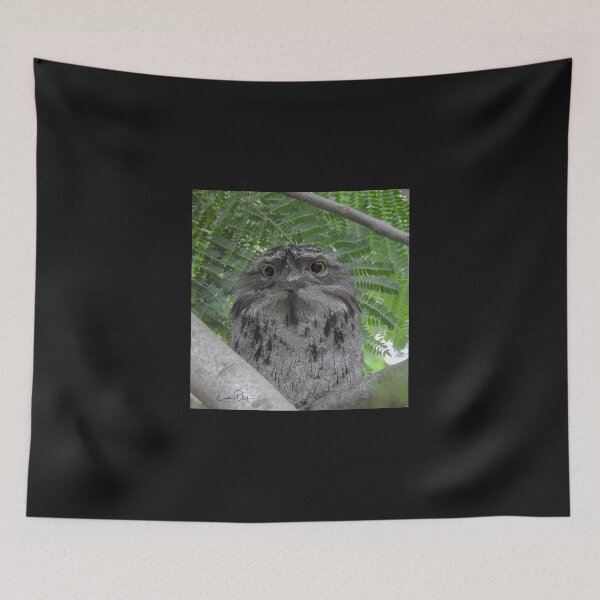 Item preview, What are you lookin' at ~ Tawny Frogmouth designed and sold by CathsImages.