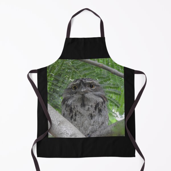 Item preview, What are you lookin' at ~ Tawny Frogmouth designed and sold by CathsImages.