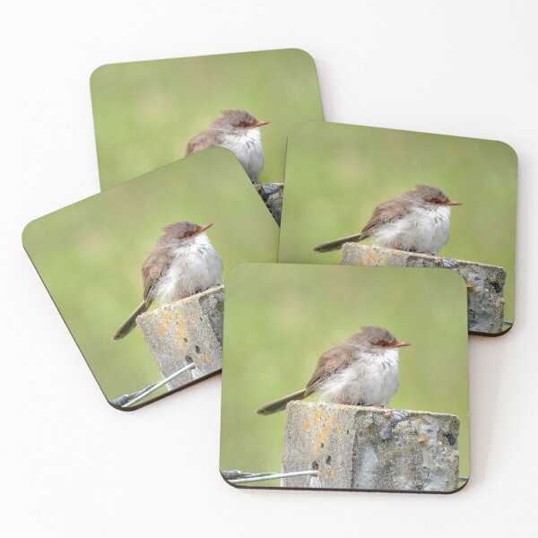 Item preview, Superb Wren designed and sold by CathsImages.