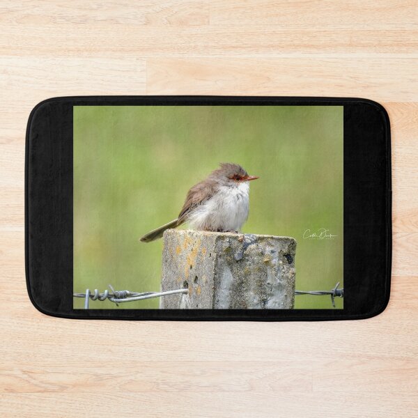 Item preview, Superb Wren designed and sold by CathsImages.