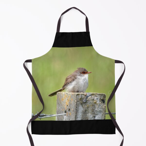 Item preview, Superb Wren designed and sold by CathsImages.