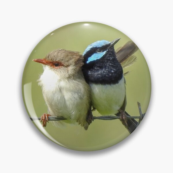 Item preview, Superb Wren Couple designed and sold by CathsImages.
