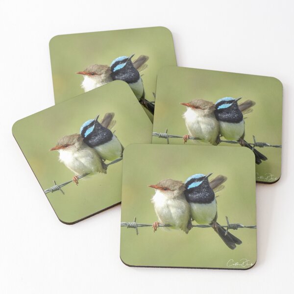 Item preview, Superb Wren Couple designed and sold by CathsImages.
