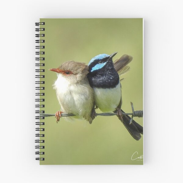 Item preview, Superb Wren Couple designed and sold by CathsImages.