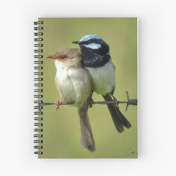 Item preview, Superb Wren Couple designed and sold by CathsImages.