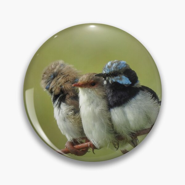 Item preview, Superb Wren Family designed and sold by CathsImages.
