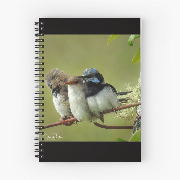 Item preview, Excelente familia Wren designed and sold by CathsImages.