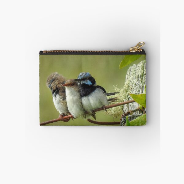 Item preview, Superb Wren Family designed and sold by CathsImages.