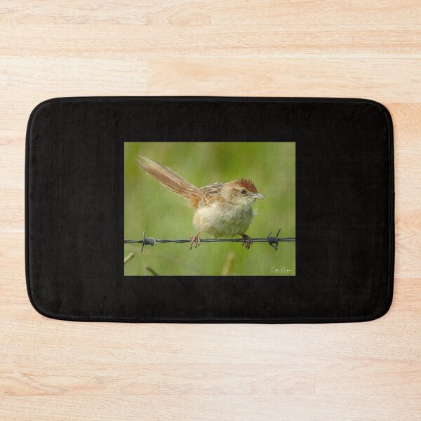 Item preview, Tawny Grassbird designed and sold by CathsImages.