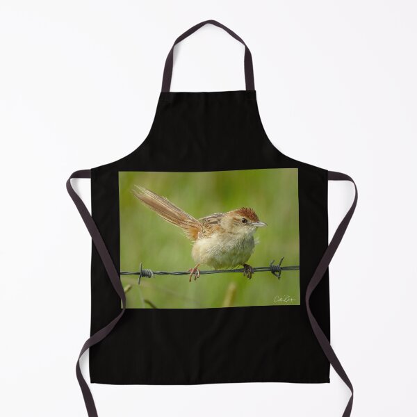 Item preview, Tawny Grassbird designed and sold by CathsImages.